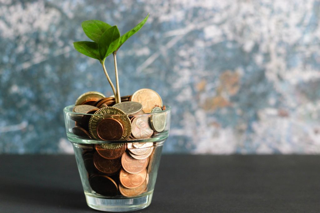 a plant growing from money